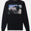 Burton Heavyweight Photo Langarm-T-Shirt