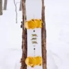 Burton Process Camber Snowboard für Herren