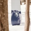 Burton Yeasayer Flying V Snowboard für Damen